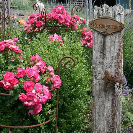 Lucht Mühbrook