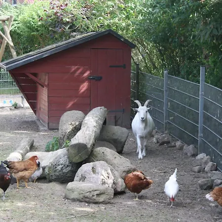 Lucht Çiftlik konaklama *