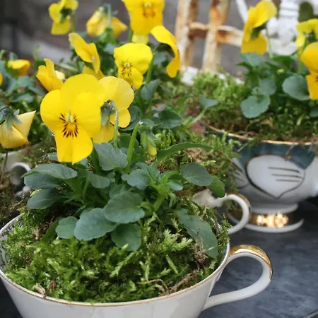 Lucht Çiftlik konaklama Mühbrook